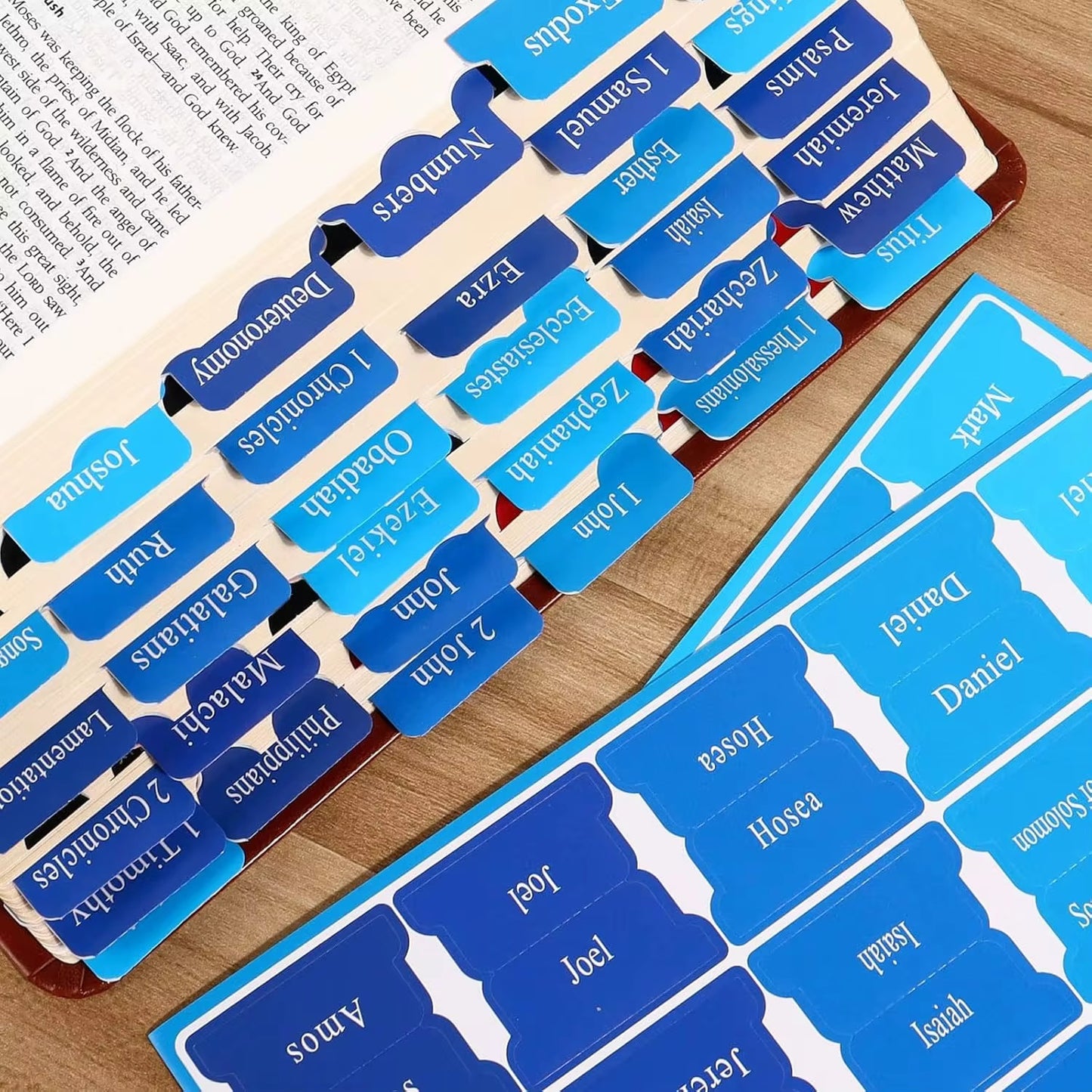 Anchored Bible Tabs