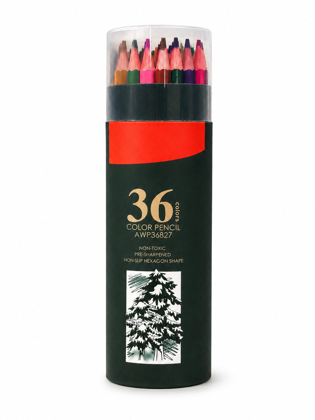 Colored Pencils (Set of 36)