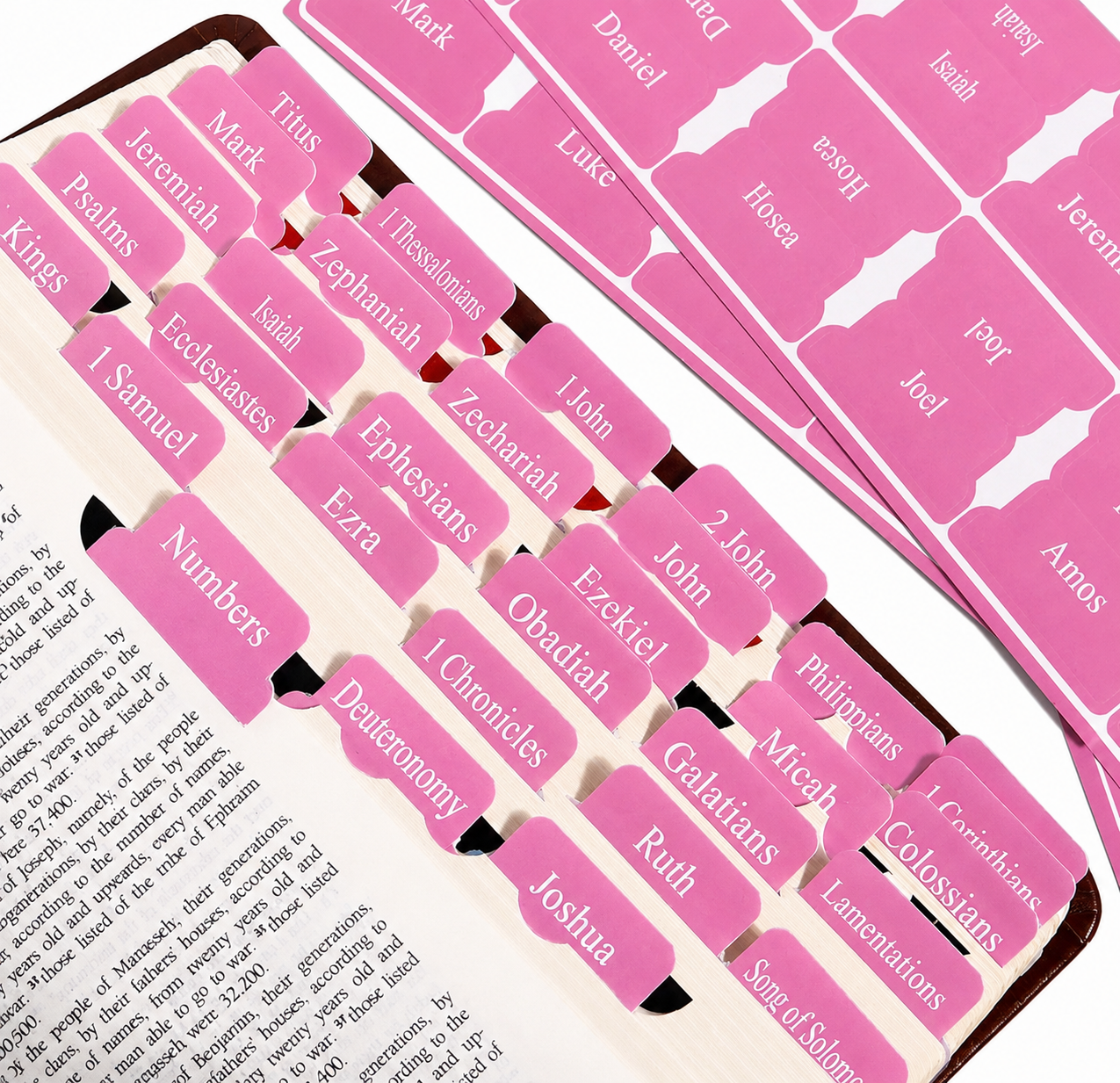 Bloom Bible Tabs