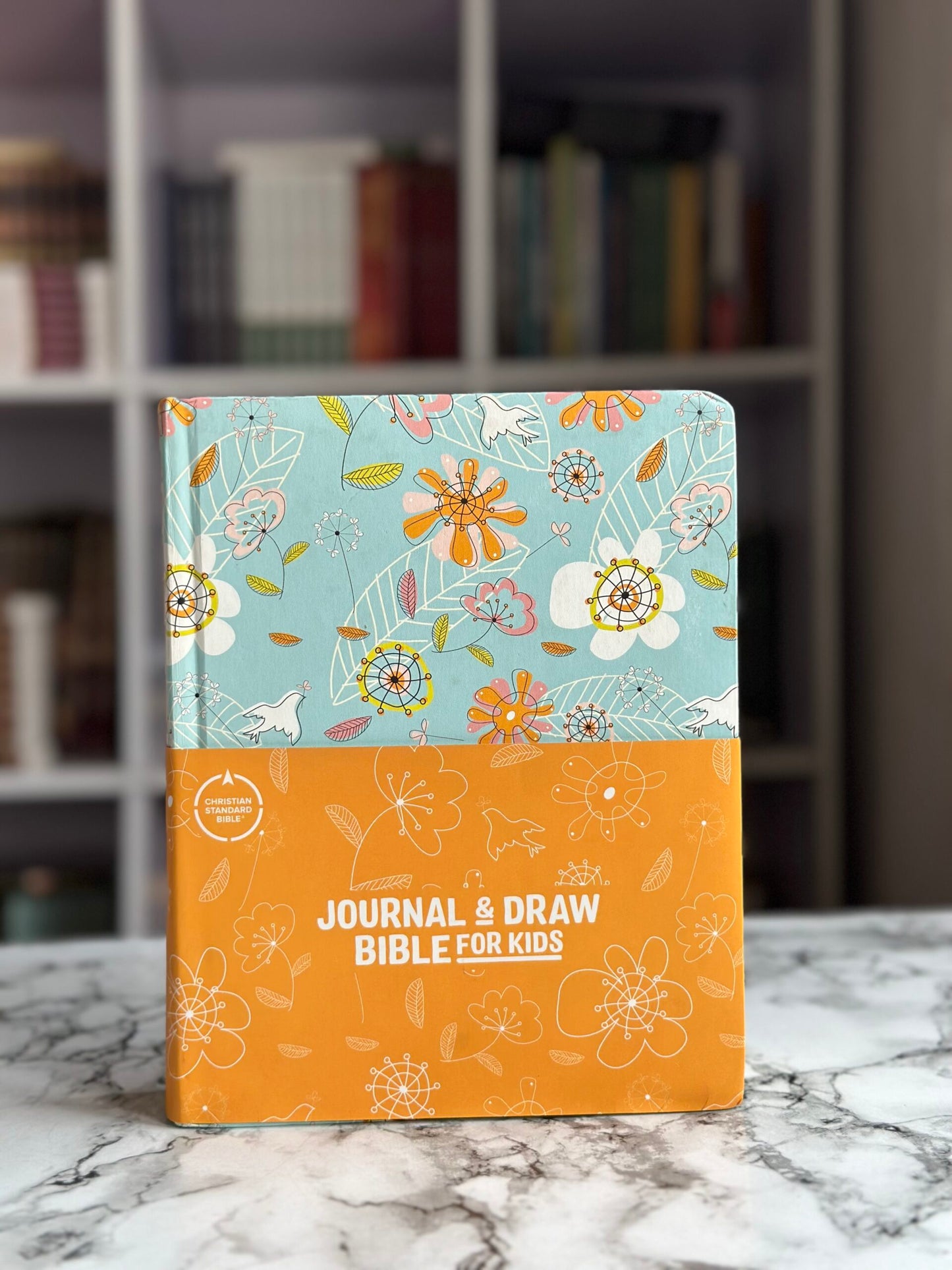 Journal And Draw Bible For Kids