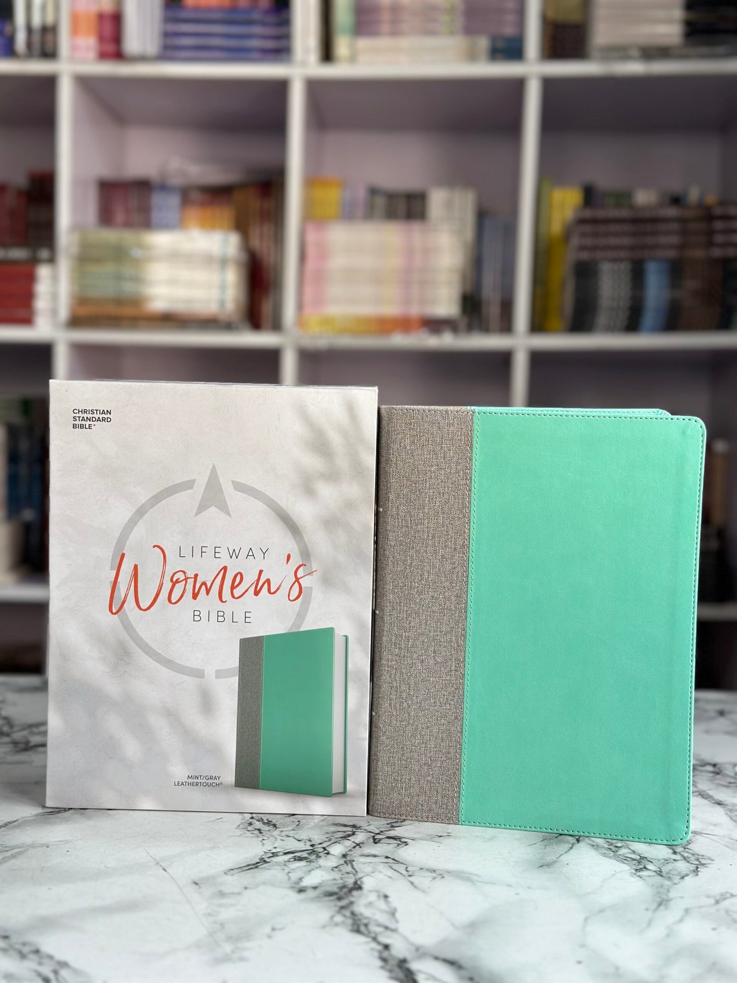 CSB Lifeway Women's Bible, Gray/Mint LeatherTouch