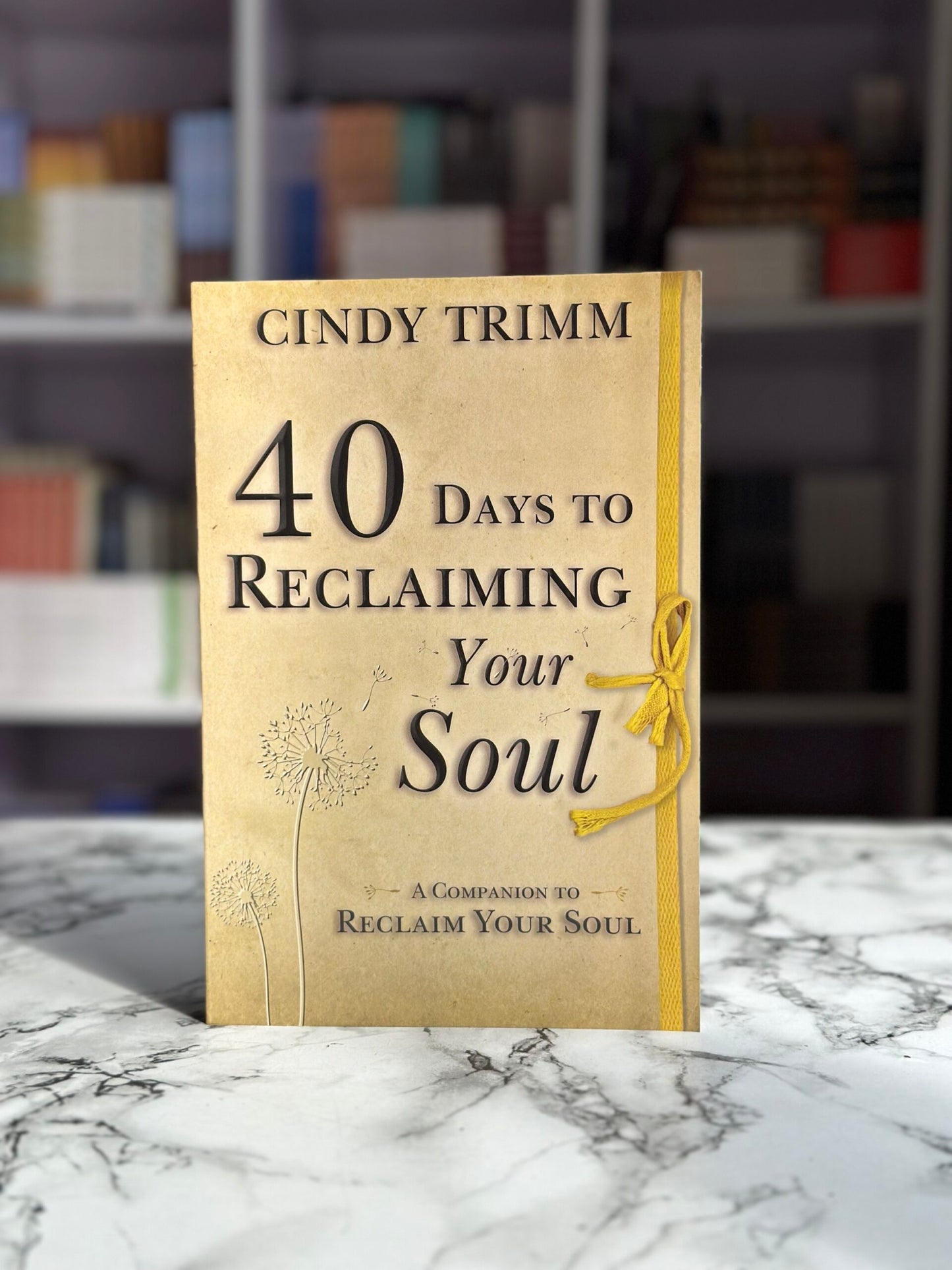 40 Days to Reclaiming Your Soul: A Companion to Reclaim Your Soul