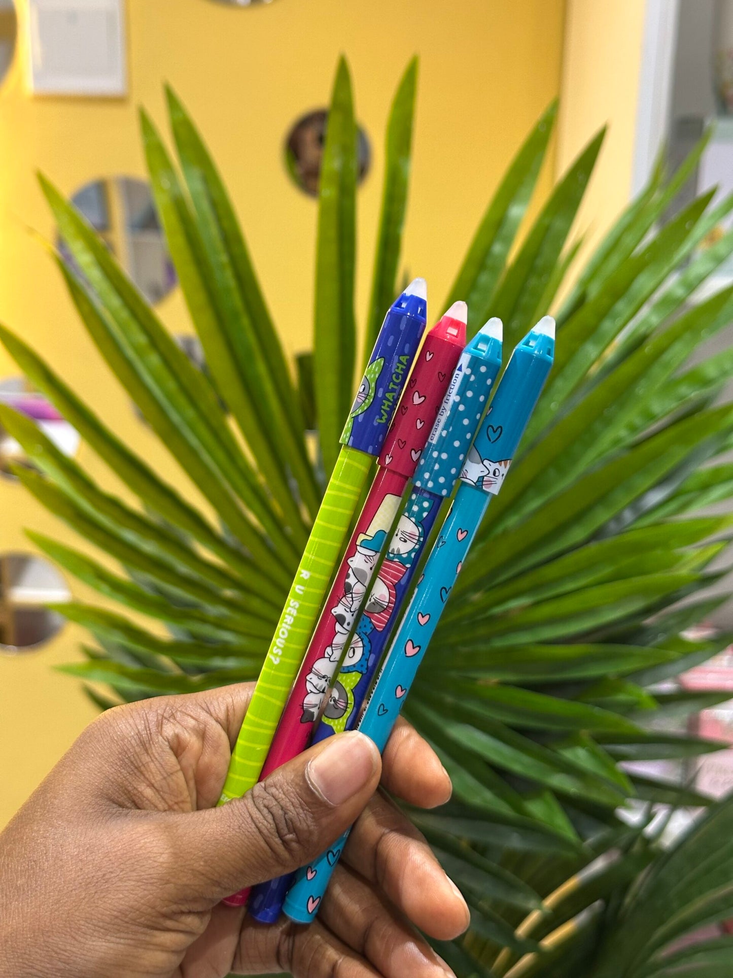 Erasable Pens 2