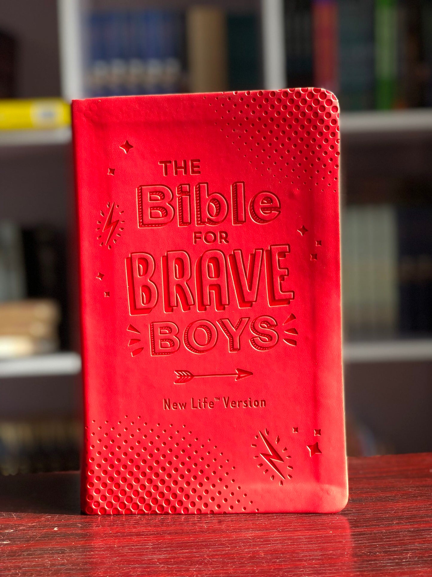 The Bible For Brave Boys