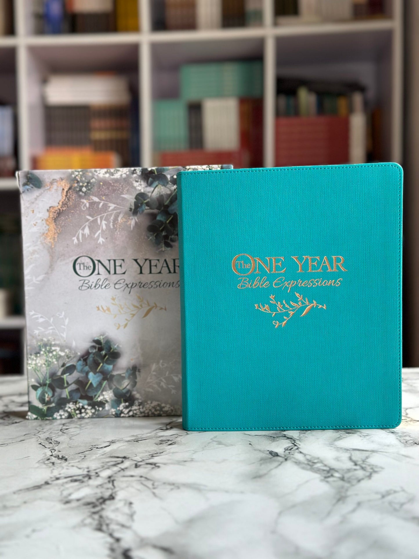 The One Year Expressions Bible