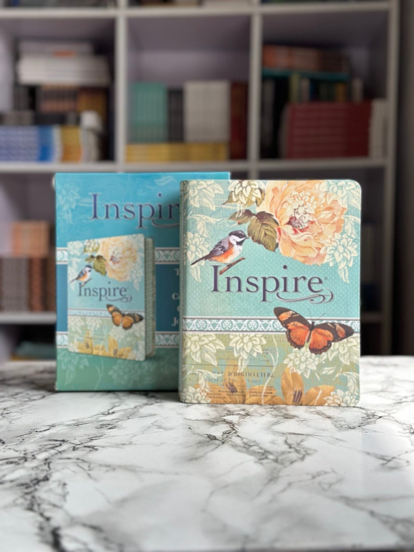 Inspire Bible (Leather)