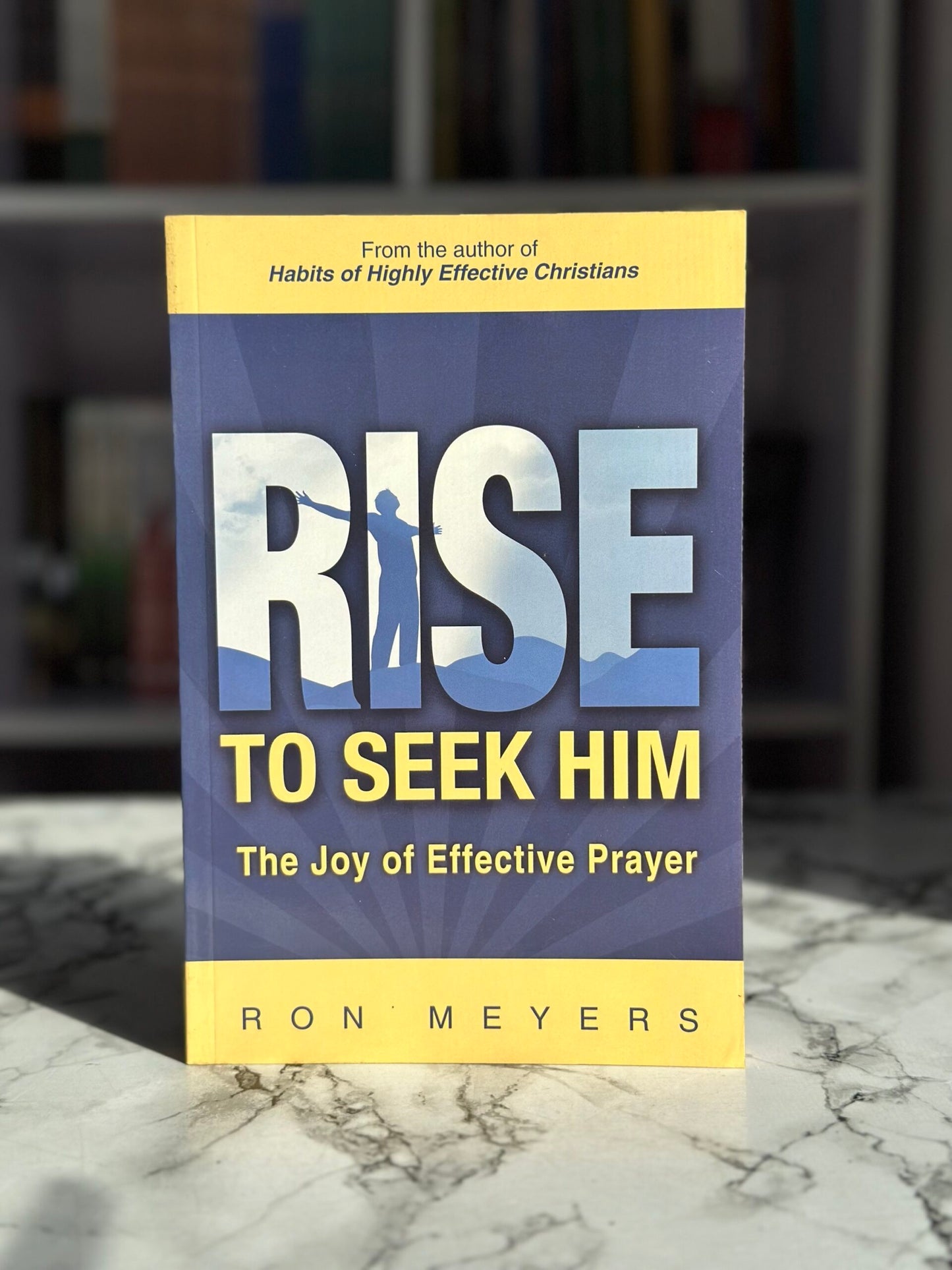 Rise To Seek