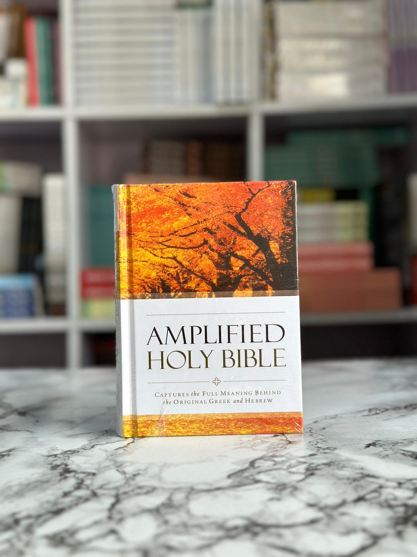 Amplified Bible Hardcover (Small Size)