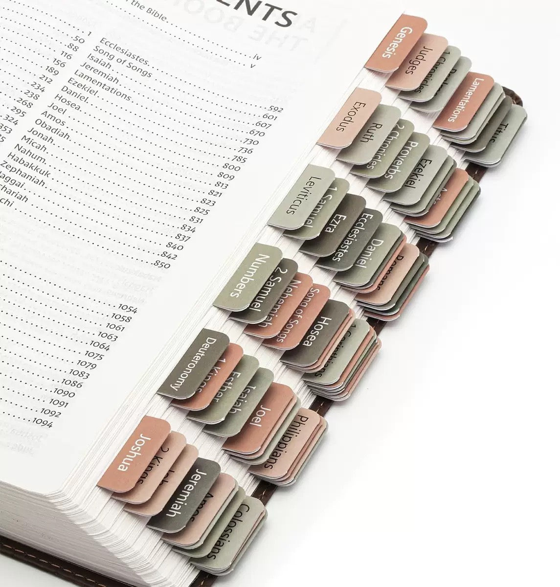 Abide Bible Tabs