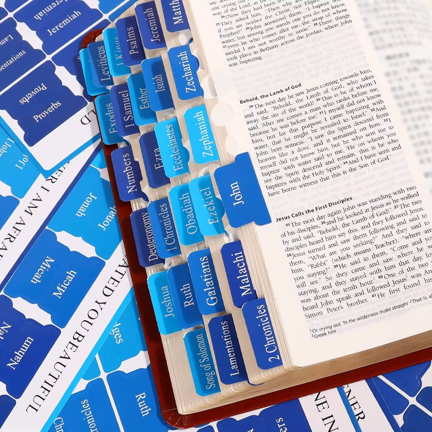Anchored Bible Tabs