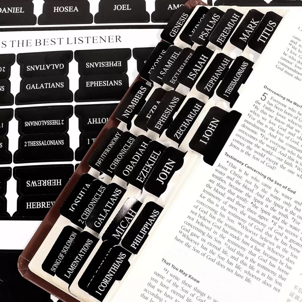 Selah Bible Tabs