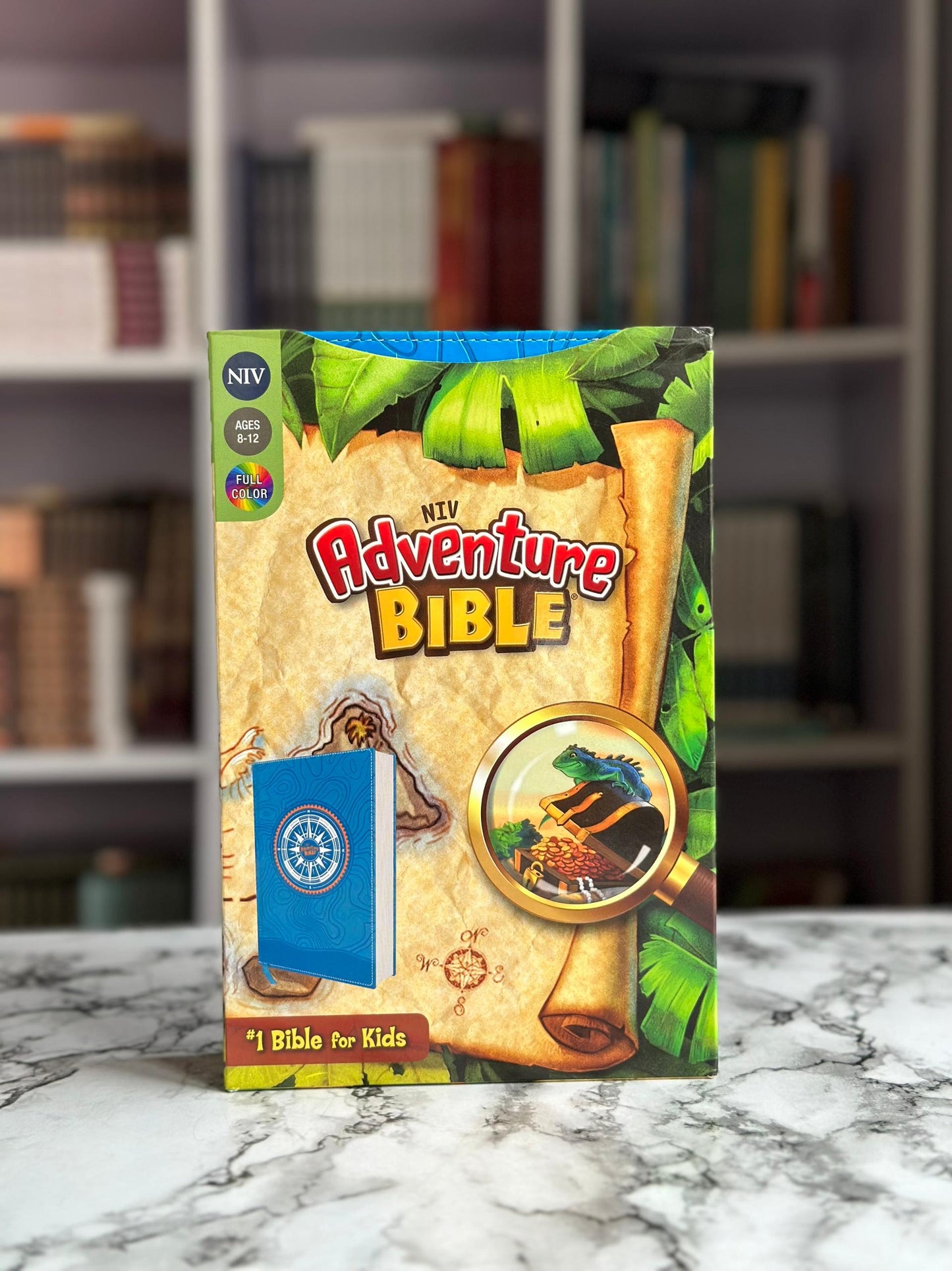 NIV Adventure Bible
