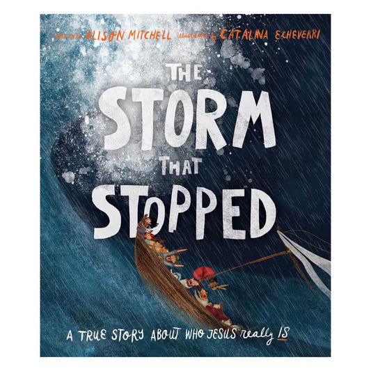Storm That Stopped Storybook