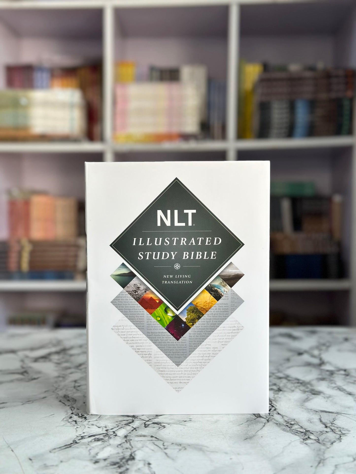 NLT Illustrated Study Bible