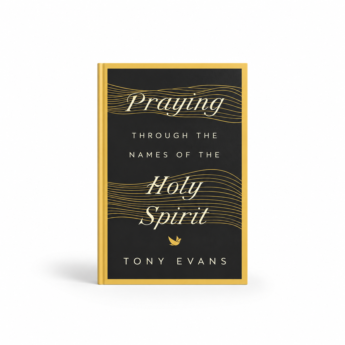 Praying Through the Names of the Holy Spirit - The Names of God Series (Paperback)