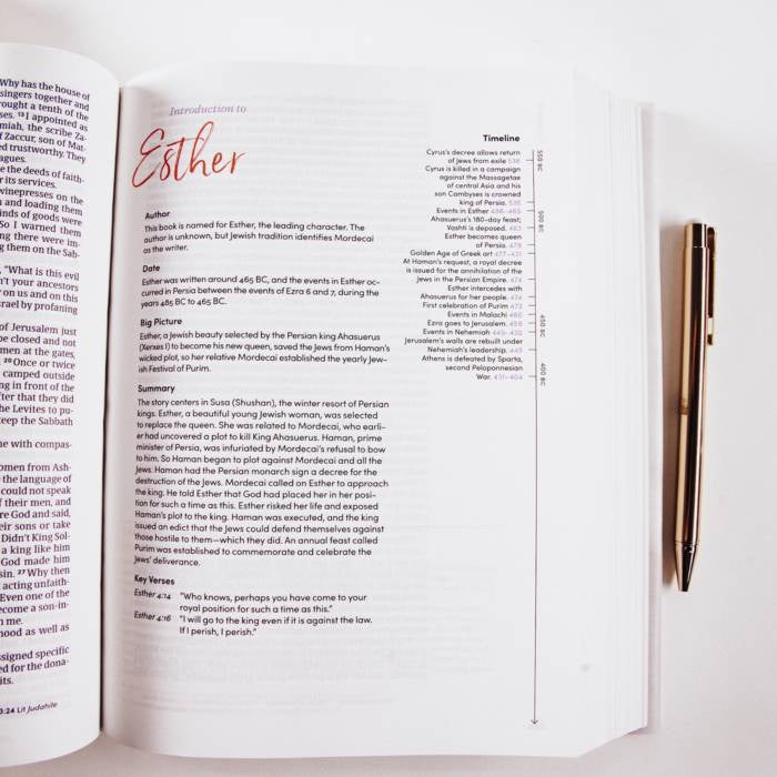 CSB Lifeway Women's Bible, Camel Cloth Over Board