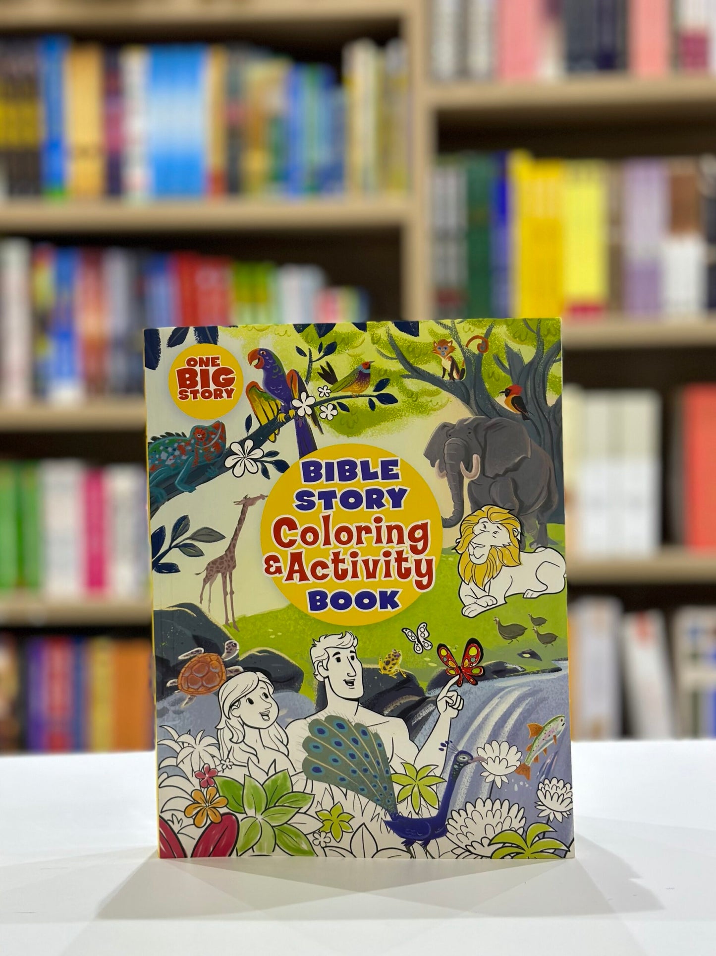 Bible Story Coloring and Activity Book