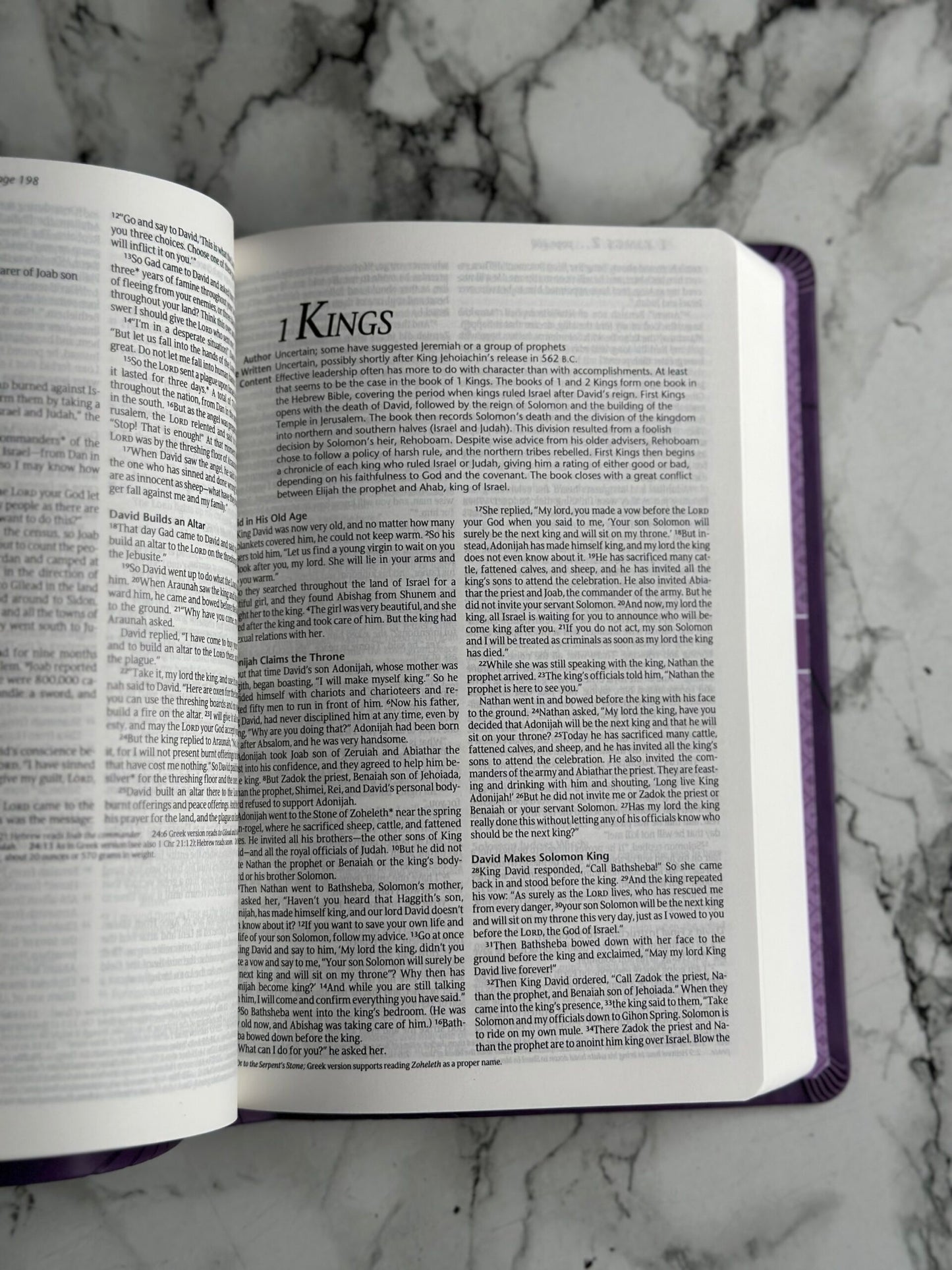 NLT Premium Gift Bible Leather Purple Petals