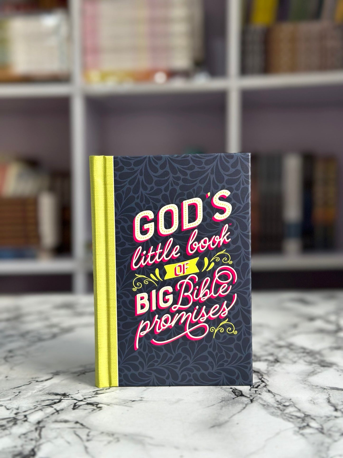 Gods Little Book Of Big Bible Promises (Hardcover)