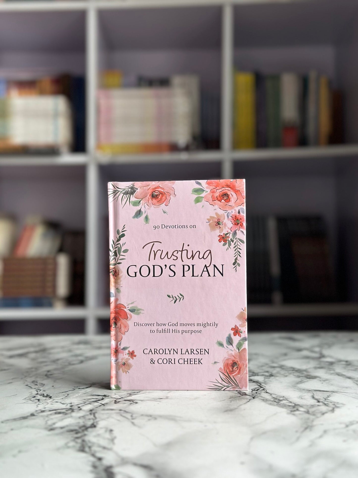 Trusting God's Plan: Discovering How God Moves Mightily to Fulfill His Purpose