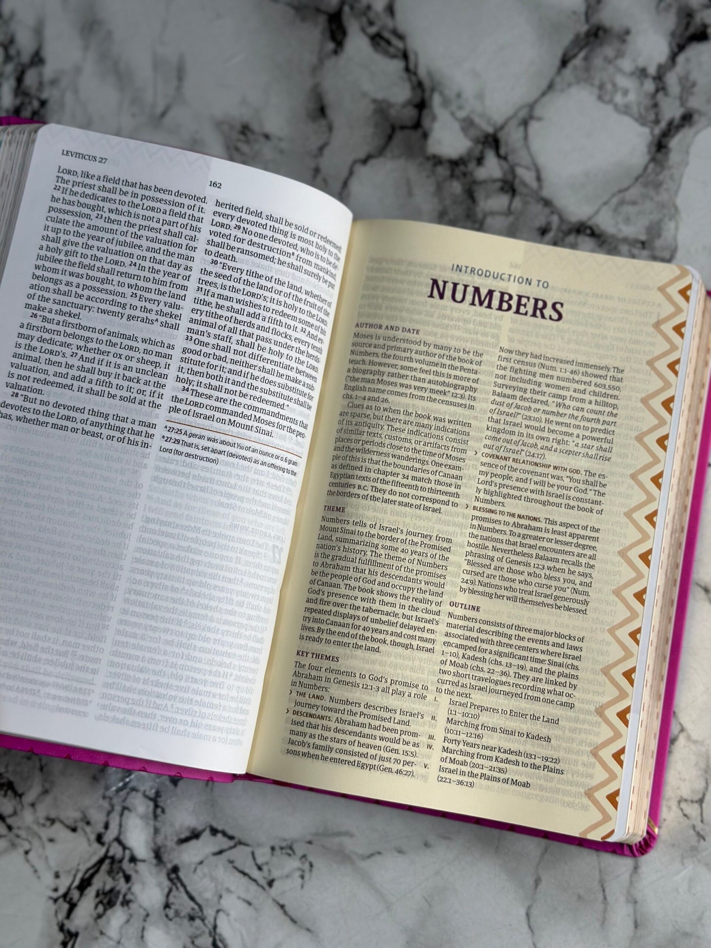 African Women Devotional Bible
