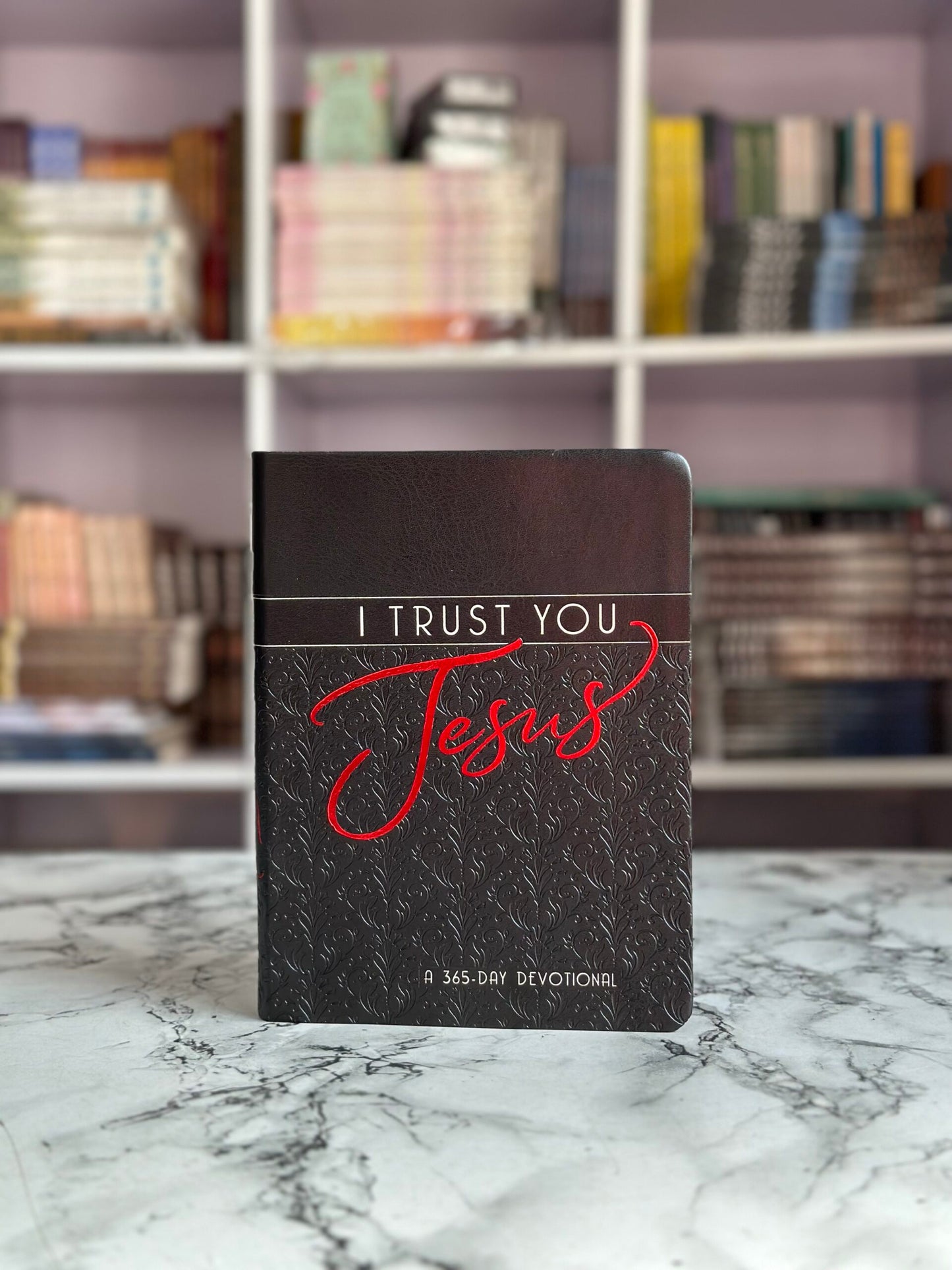 I Trust You Jesus: A 365-Day Devotional (Leather)