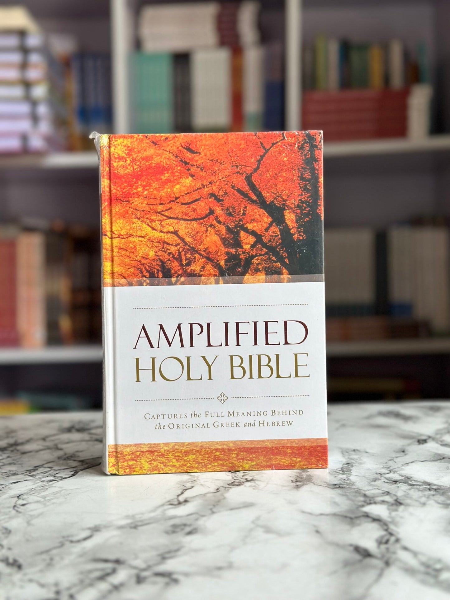 Amplified Bible (Hardcover)