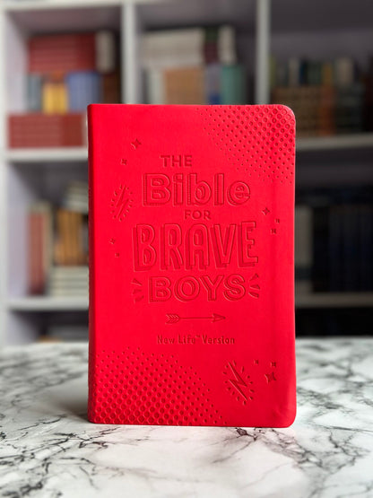 The Bible For Brave Boys