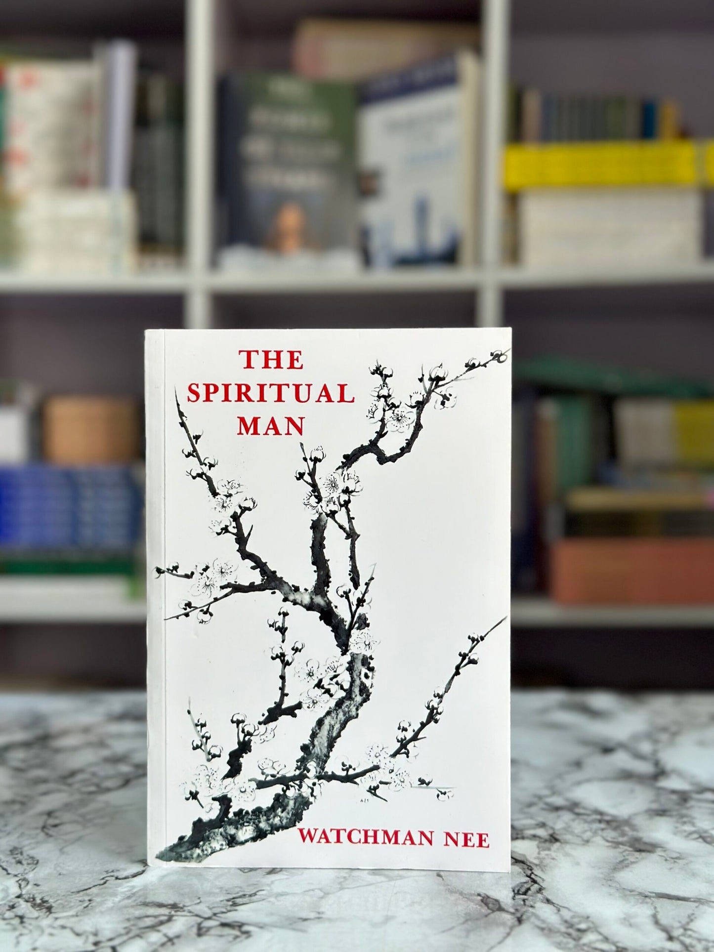 The Spiritual Man